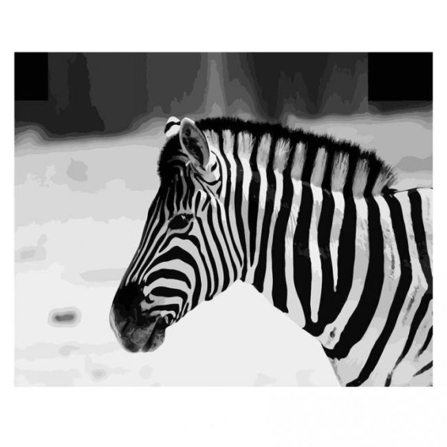 Zebra Animal Art Paint By Numbers