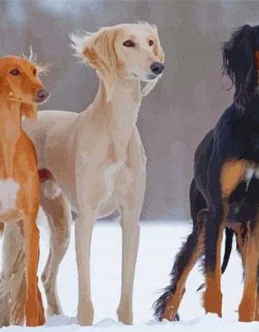 Saluki Puppies Painting Kit Paint By Numbers