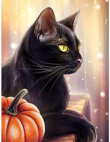 Black Cat Animal Art Paint By Numbers