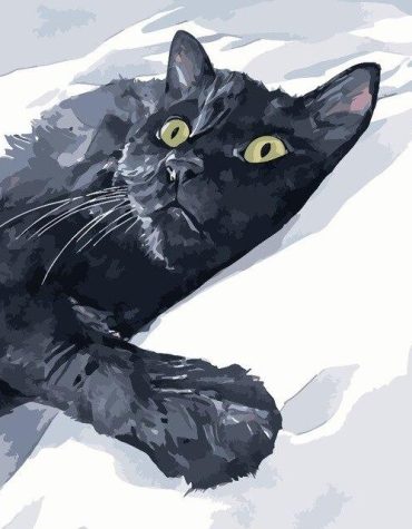 Black Cat and Snow Paint By Numbers
