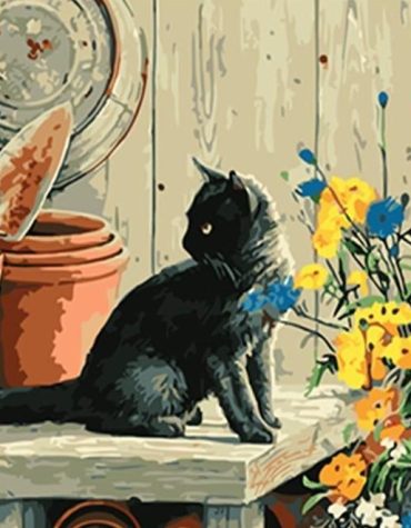 Black Cat Paint By Numbers
