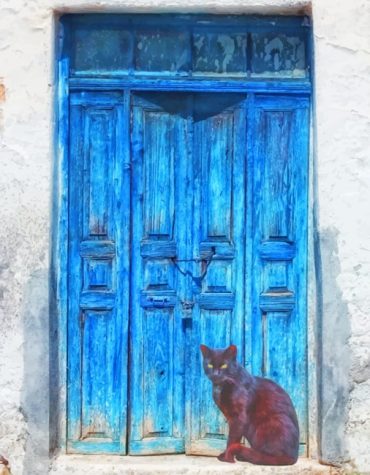 Blue Door Black Cat Paint By Numbers