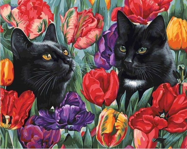 Black Cats and Tulips Paint By Numbers