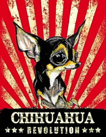 Chihuahua Puppies Paint By Numbers