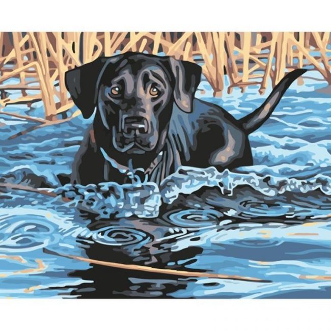 Swimming Black Dog Paint By Numbers