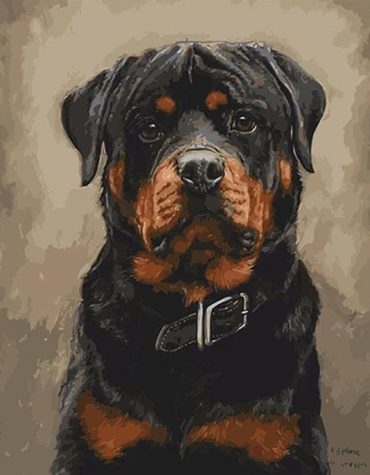 Black Dog Painting Kit Paint By Numbers