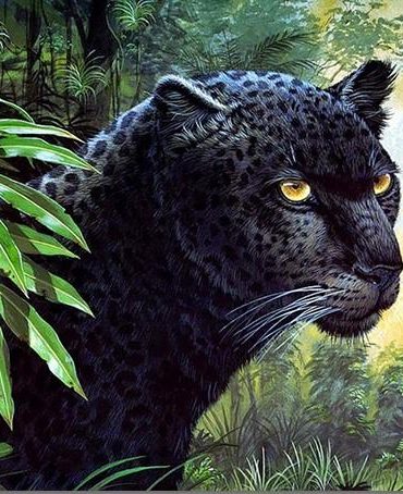 Black Leopard Wildlife Paint By Numbers