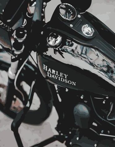 Harley Davidson Motorbike Paint By Numbers