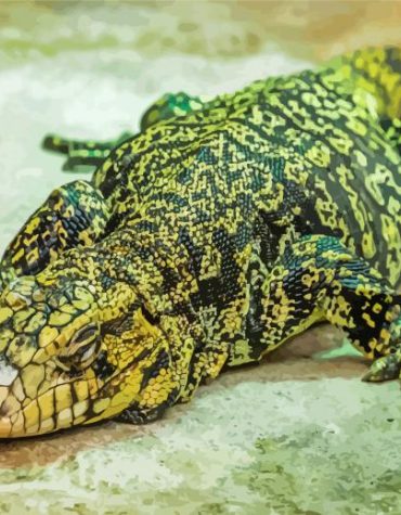 Black and Green Tegu Reptile Paint By Numbers