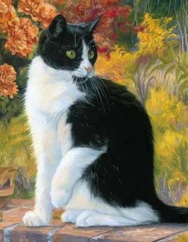 Black and White Cat Paint By Numbers