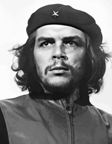 Che Guevara Monochrome Paint By Numbers