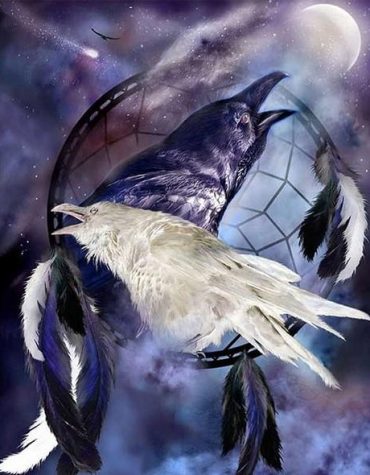 Monochrome Crow Birds Paint By Numbers