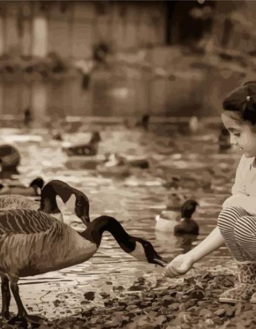 Black and White Geese Paint By Numbers