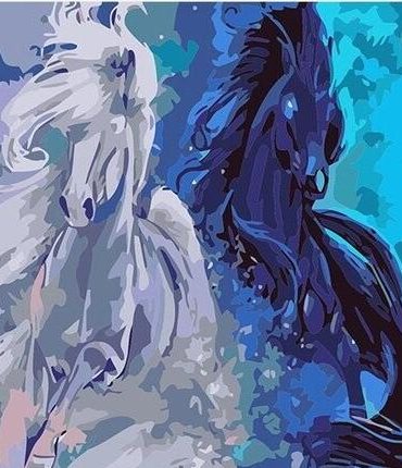 Abstract Black and White Horse Paint By Numbers