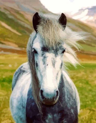 Black and White Horse Paint By Numbers