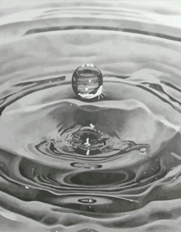 Black and White Monochrome Drop Paint By Numbers