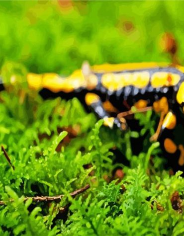 Black and Yellow Salamander Paint By Numbers