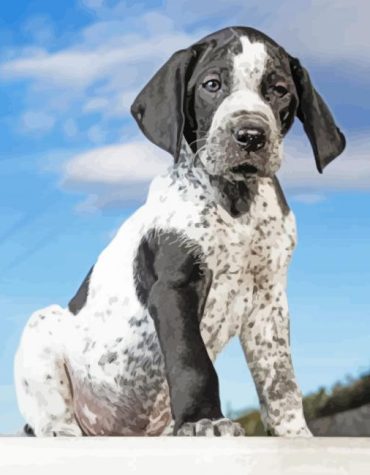 German Shorthair Pointer Puppies Paint By Numbers