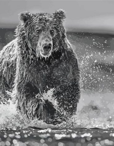 Black and White Bear Adventure Paint By Numbers
