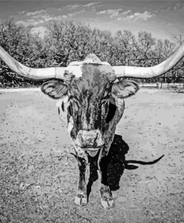 Longhorn Animal Painting Paint By Numbers