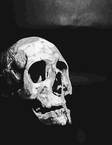 Black Skull Mystery Paint By Numbers