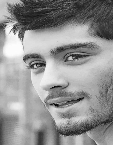 Zayn Malik Photography Paint By Numbers