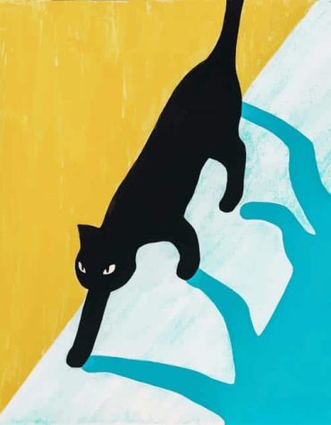 Elegant Black Cat Paint By Numbers