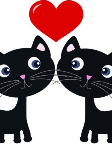 Black Cats Heart Paint By Numbers