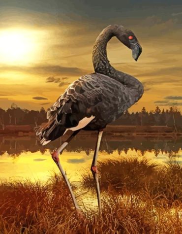 Black Flamingo Sunset Paint By Numbers