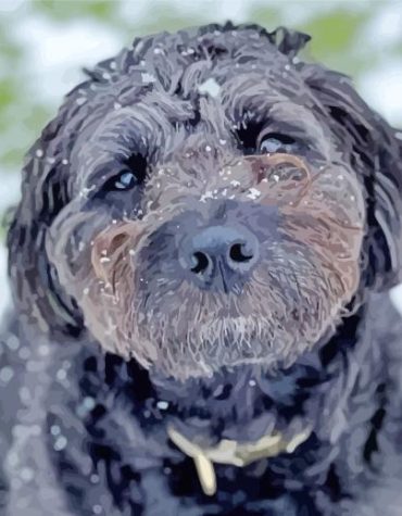 Black Goldendoodle Snow Scene Paint By Numbers