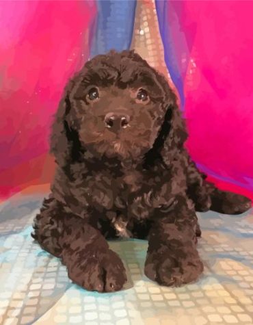 Black Goldendoodle Puppy Paint By Numbers