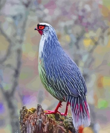 Blood Pheasant Bird Paint By Numbers