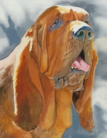 Bloodhound Hound Dog Paint By Numbers