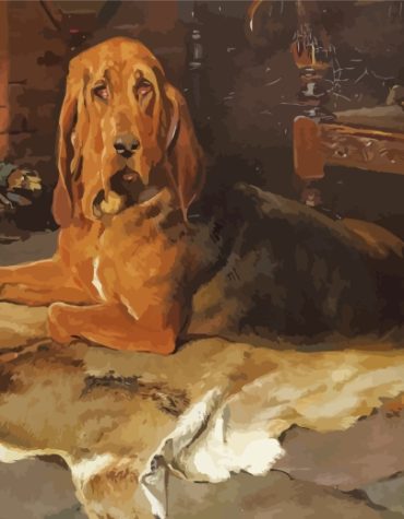 Bloodhound Hound Paint By Numbers