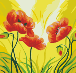 Blooming Red Poppies Paint By Numbers