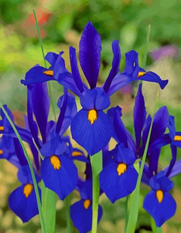 Blooming Blue Irises Paint By Numbers