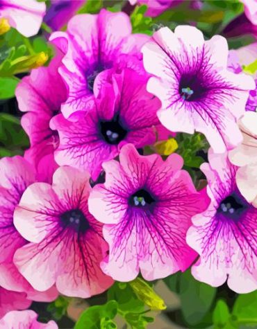 Purple Petunia Flowers Paint By Numbers