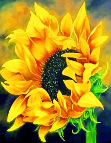 Sunflower Blossoms Paint By Numbers