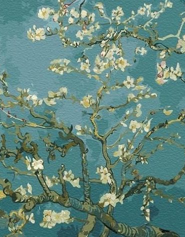Van Gogh Blossom Flowers Paint By Numbers