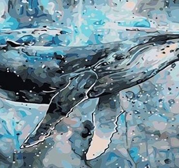 Blue Whale Animal Paint By Numbers