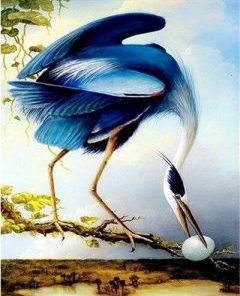 Majestic Blue Heron Paint By Numbers