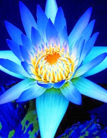 Blue Lotus Flower Paint By Numbers