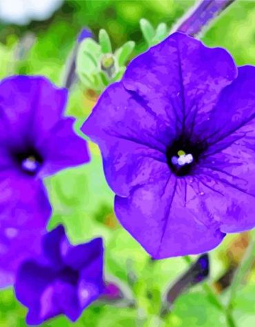 Blue Petunia Flowers Paint By Numbers