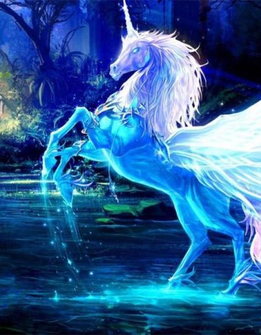 Blue White Unicorn Paint By Numbers