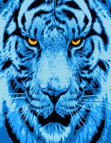 Blue Tiger Paint By Numbers