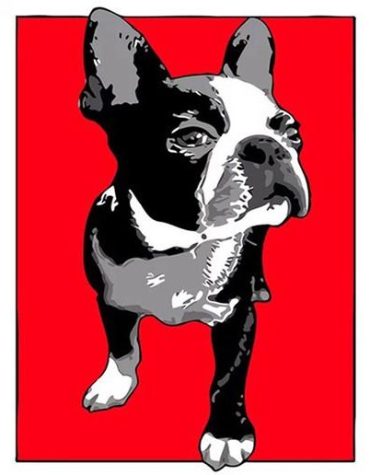 Boston Terrier Dog Art Paint By Numbers