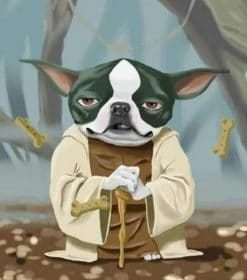 Charming Boston Terrier Dog Paint By Numbers