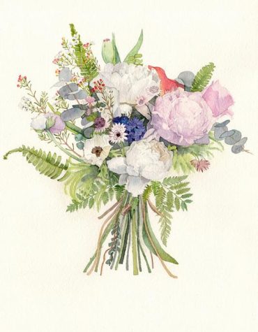 Botanical Rose Paint By Numbers