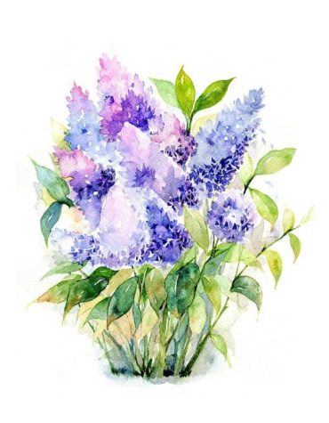 Bouquet of Blue Roses Paint By Numbers