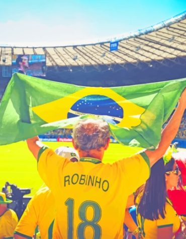 Patriotic Brazil Flag Stadium Paint By Numbers
